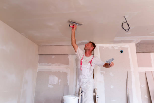 Best Ceiling Drywall Installation  in Belle Mead, NJ